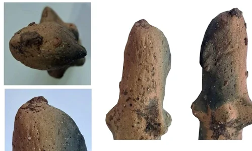 Idol din Arcuș. Detalii (© MNCR)