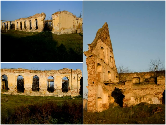 Din castel se mai păstrează doar câteva ziduri. Foto Alessia Marinescu