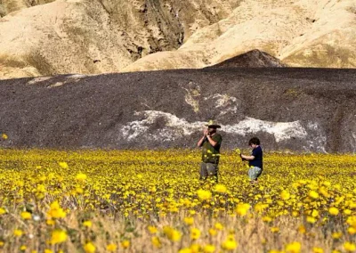 1d1fa340 1bd6 11f1 801a 8f2f63e21096 jpg webp