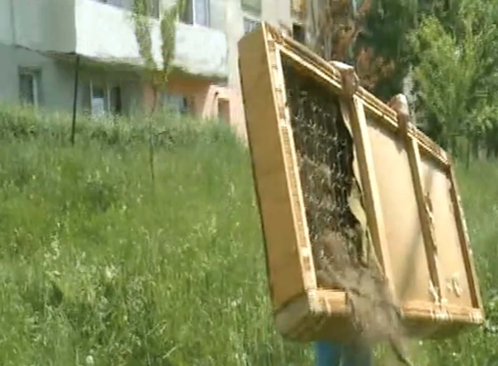 
    Canapeaua s-a rupt  în momentul în care a căzut peste DanielFoto: stirileprotv.ro/Facebook  