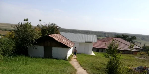 tolaeta