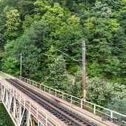 Defileul Jiului  Foto Daniel Guță ADEVĂRUL (31) JPG