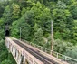 Defileul Jiului Foto Daniel Guță ADEVĂRUL (31) JPG