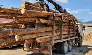 masina cu lemne furate din padure jpeg