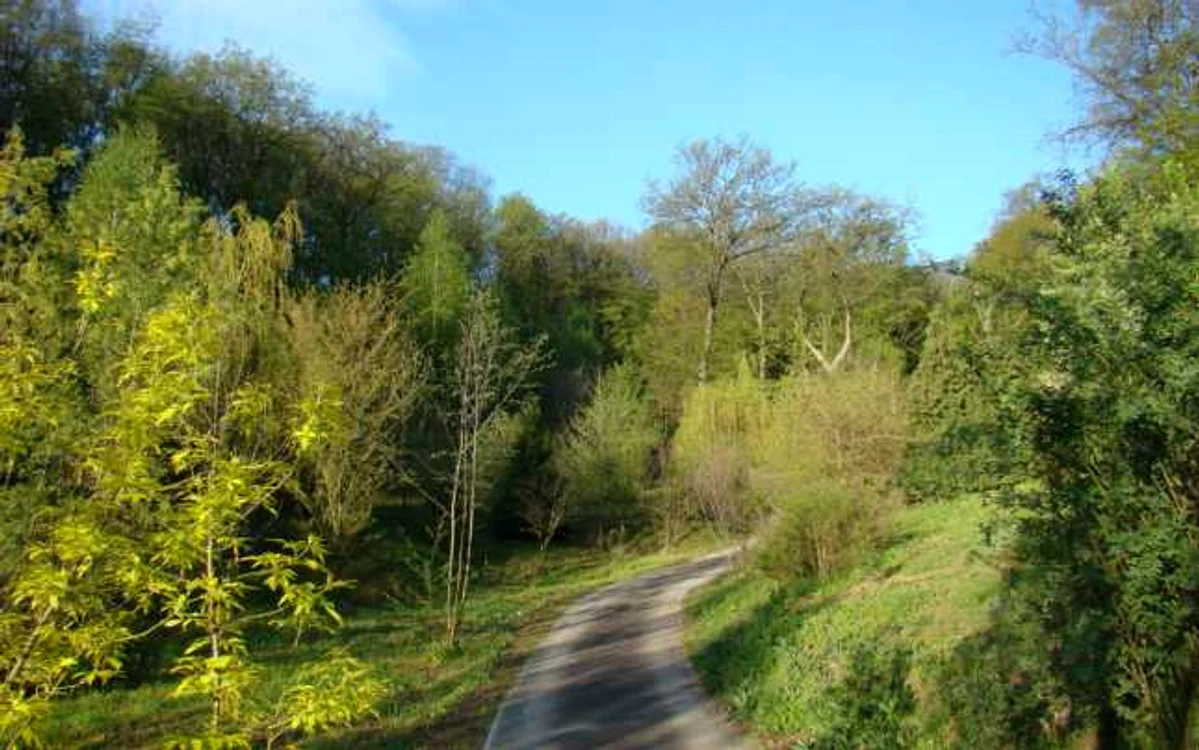 parc dendrologic alba iulia