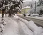 elevi cavnic