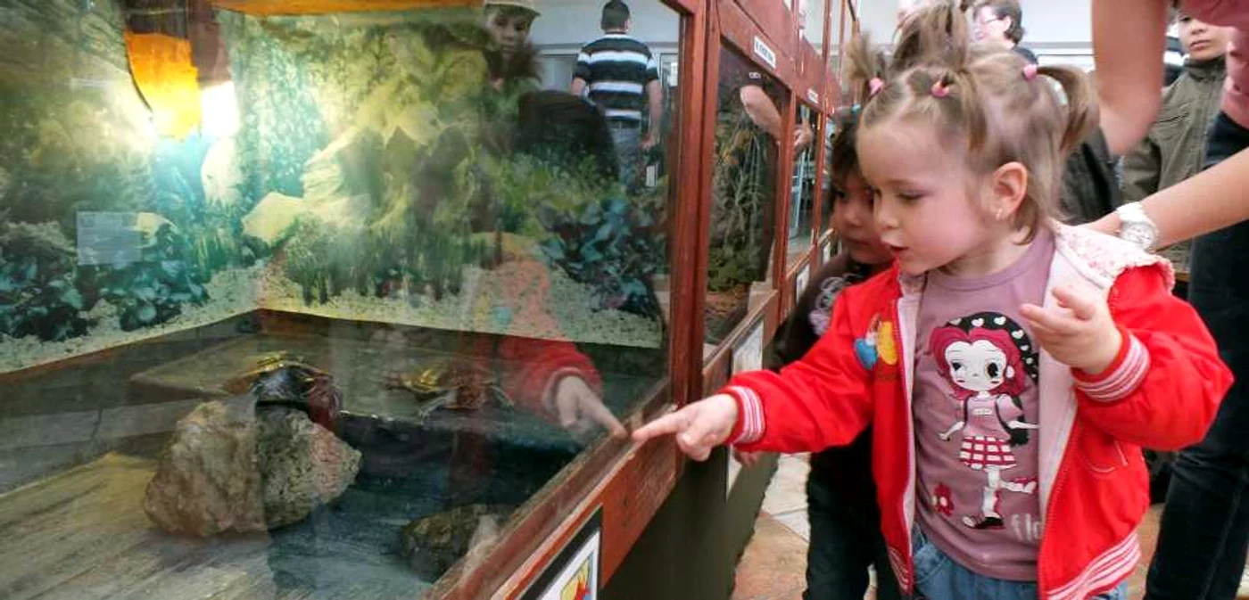 Pentru cei mai mici vizitatori expoziţia se dovedeşte extrem de instructivă