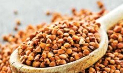 1 73622 original jpg jpeg