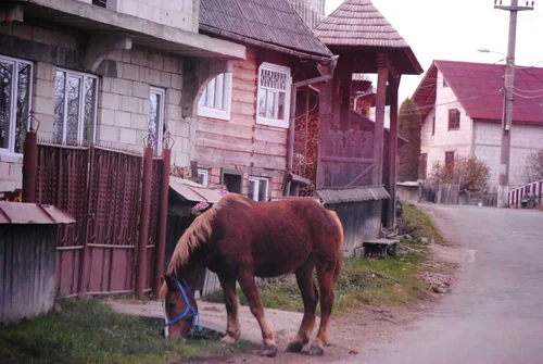 maramures