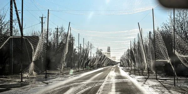  Plase anti-dronă deasupra unor drumuri cheie din regiunea Donețk, Ucraina FOTO Profimedia 