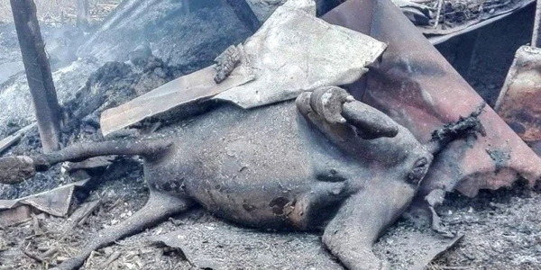 incendiu stana Galati 