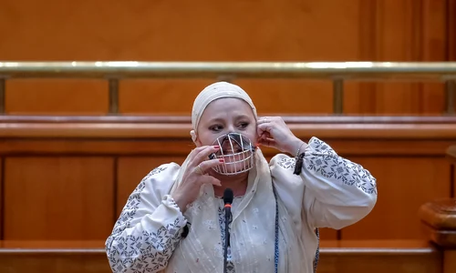 diana sosoaca botnita png