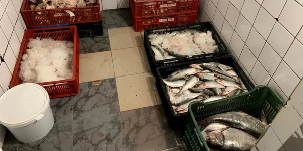 peste congelat importat arhiva