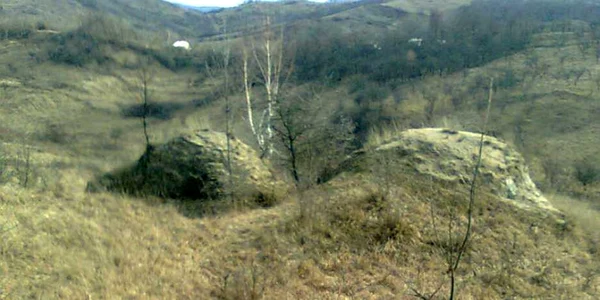 buzau