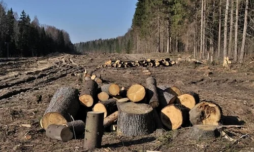 Imperiul Roman şi dinastia chineză Han, primele cauze umane ale încălzirii globale jpeg