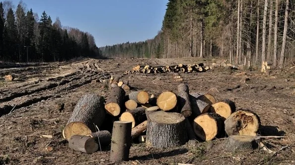 Imperiul Roman şi dinastia chineză Han, primele cauze umane ale încălzirii globale jpeg