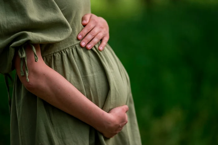Cum a ajuns o femeie să-și aducă pe lume copilul într-un copac / foto: Shutterstock