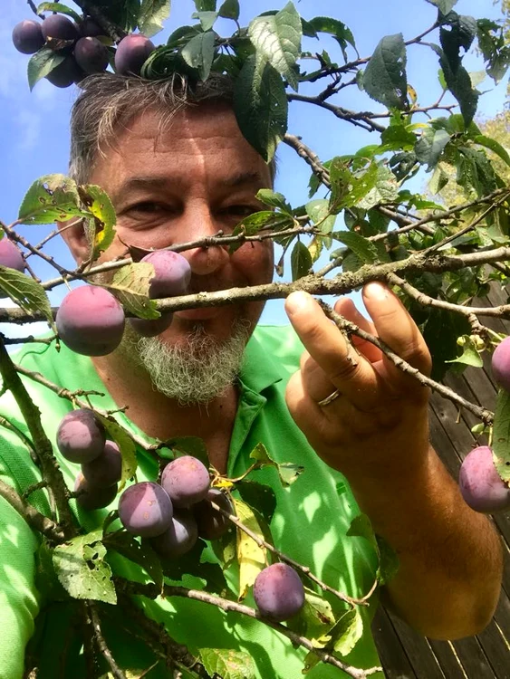 Solistul Proconsul este atras de viaţa la ţară 