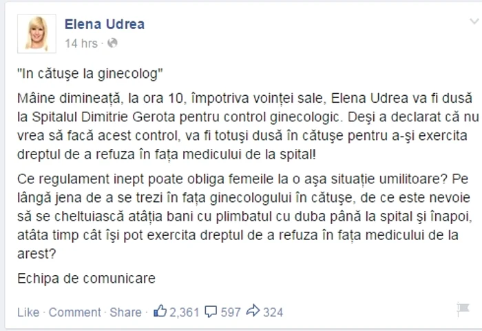 Mesajul publicat de echipa Elenei Udrea pe pagina de Facebook