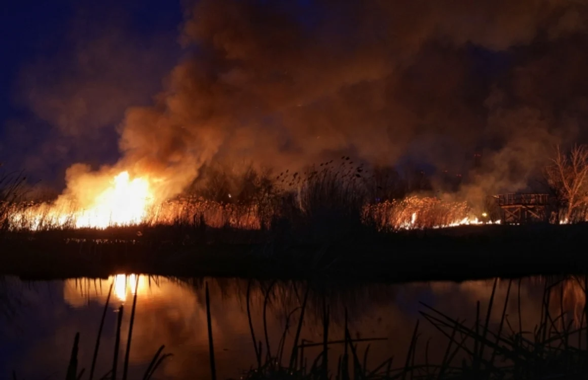 Pompierii s-au luptat ore bune cu incendiul din Delta Văcăreşti  FOTO Inquam / Octav Ganea