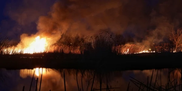 Incendiu în Delta Văcăreşti din Capitală FOTO Inquam Photos Octav Ganea