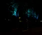 Iluminarea Podului de Foer din Timişoara