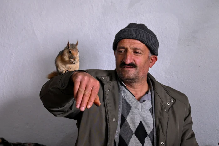 Şakir Mitan și veverița lui, Findik