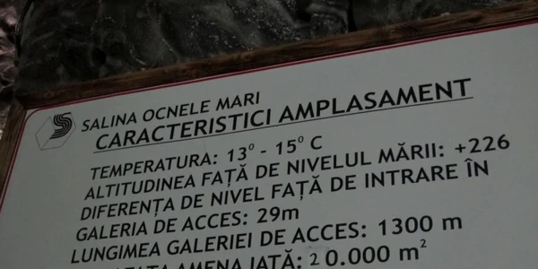 omari5