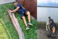 Somnul uriaș de aproape doi metri prins într un lac de acumulare de pe Olt în Avrig Sibiu Sursă Mesagerul de Sibiu