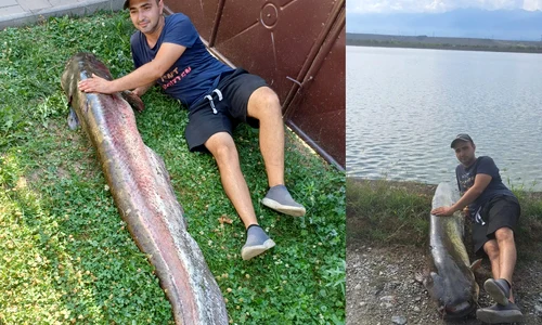 Somnul uriaș de aproape doi metri prins într un lac de acumulare de pe Olt în Avrig Sibiu Sursă Mesagerul de Sibiu