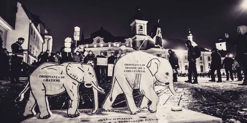 protest sibiu foto facebook