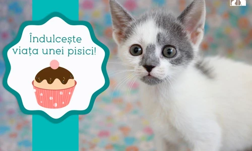 1 71603 original jpg jpeg