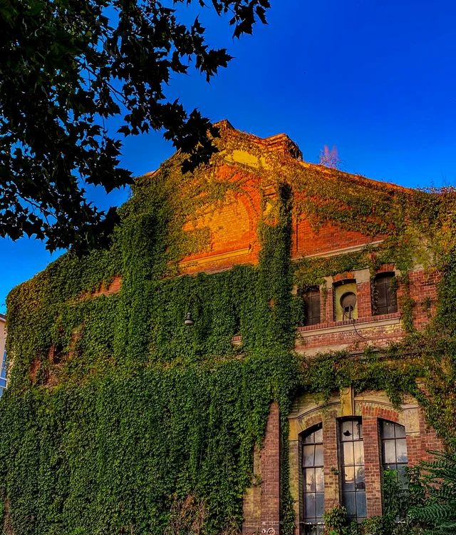 Uzina Electrică Filaret poate fi readusă la viață / foto: Facebook