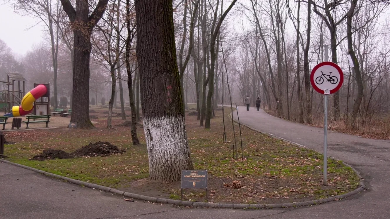 buzauparc