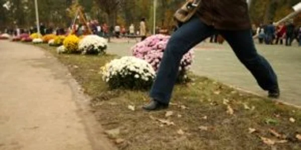 Milioane de euro, aruncaţi pe gazon „de iarnă” în Capitală- Revista presei interne
