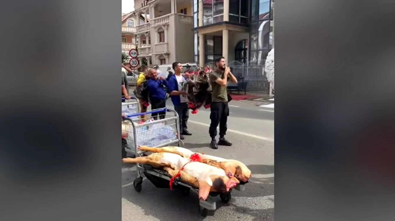 Nuntă cu fast, în Teleorman Foto: captură TikTok