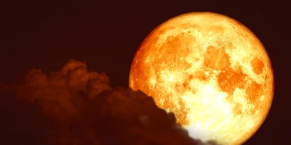 luna foto shutterstock