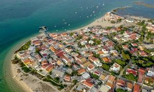 armona jpg
