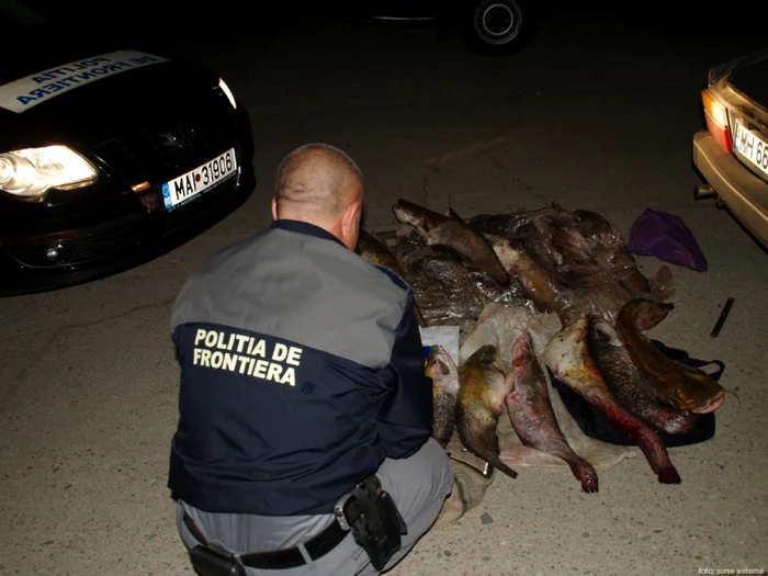 Întreaga cantitate de peşte a fost confiscată