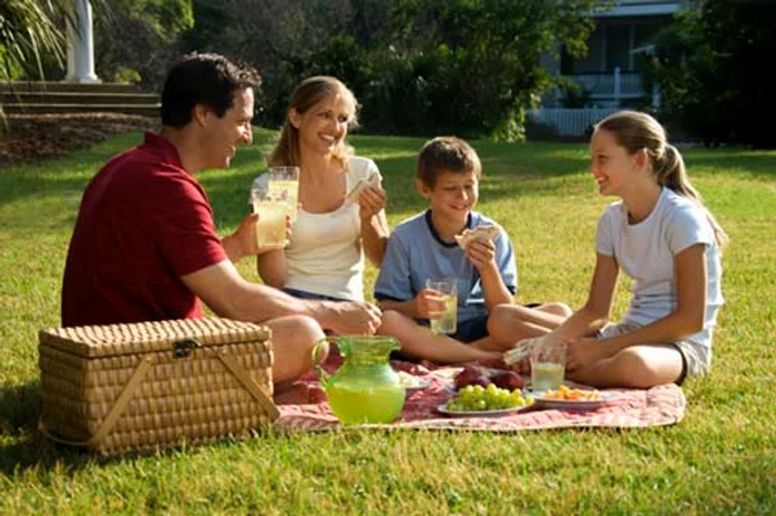 Cu familia la picnic