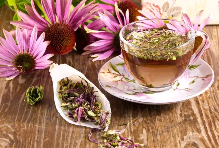 Frunzele, florile și rădăcinile de echinacea sunt folosite la producerea ceaiurilor, a suplimentelor nutriționale și tincturilor.foto: Shutterstock