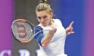 19 sport hepta 2754236 jpeg