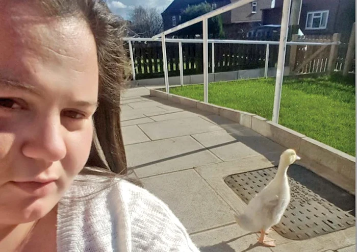 Pe mine mă cheamă Clover şi pe mama mea Emma! Suntem britanici...