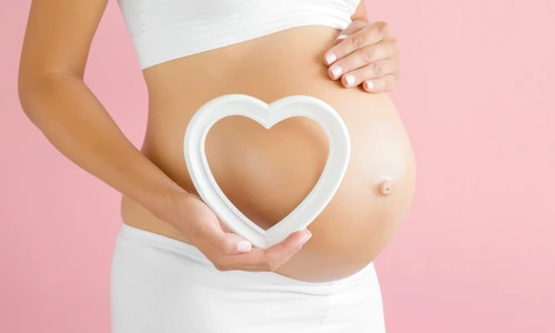 1 shutterstock 1442625677 jpg jpeg