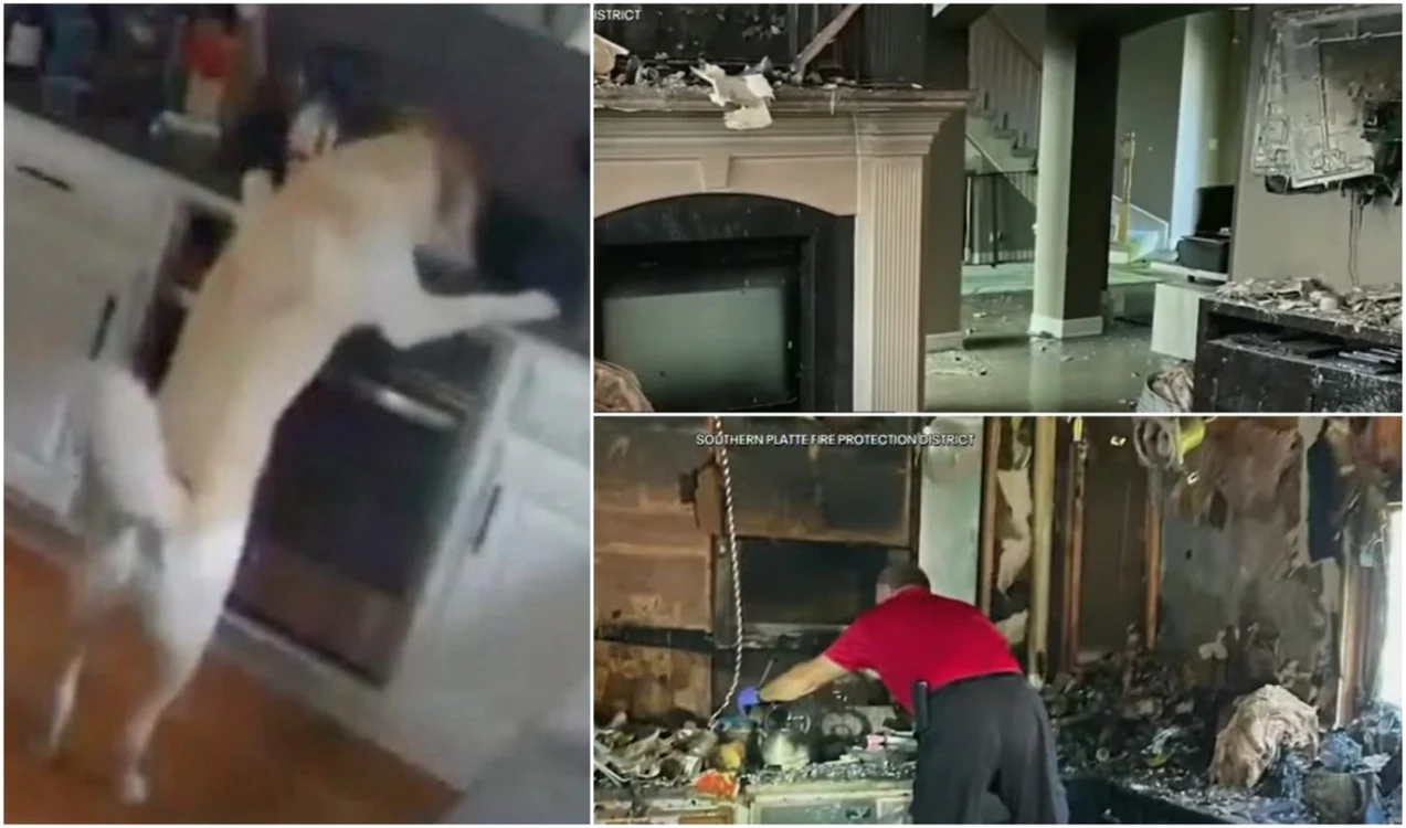 FOTO Captură video