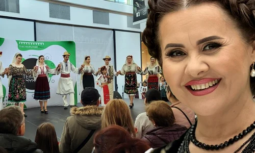 banner Niculina Stoican png