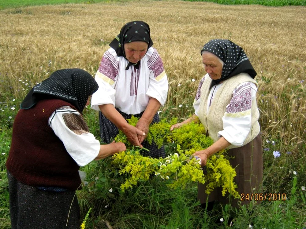 Bătrânele împleteau ierburile de leac într-o coroniță FOTO: arhiva etnograf Claudia Balaș