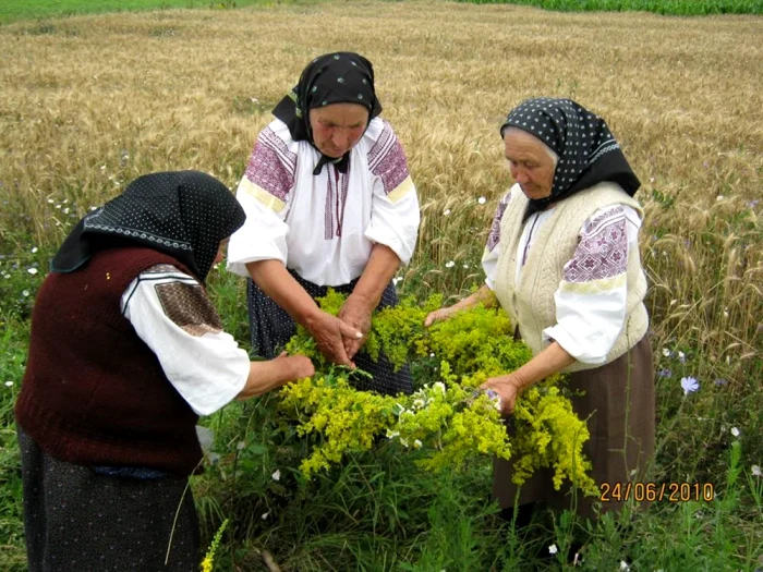 Bătrânele împleteau ierburile de leac într-o coroniță FOTO: arhiva etnograf Claudia Balaș