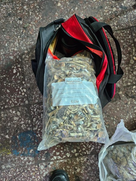 Depozit de droguri „La Casa de Papel“, găsit într-un apartament închiriat. Traficantul, dat în vileag de alt dealer