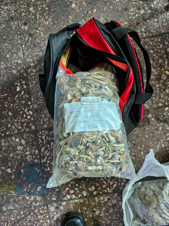 O parte din captura de droguri FOTO Surse judiciare
